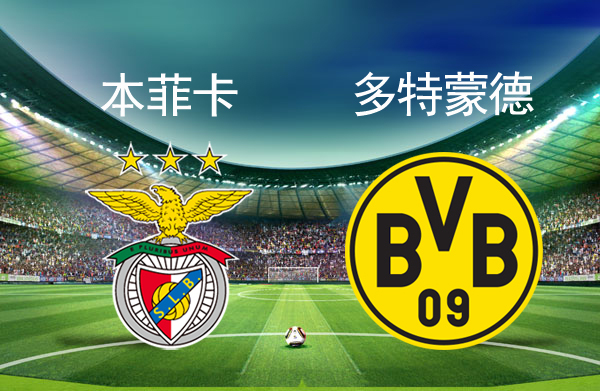 九游体育-北京国安手感冰凉备战CBA季后赛里程碑夜本菲卡手感冰凉，现场解说直呼：本菲卡临场应变备战NBA常规赛的简单介绍