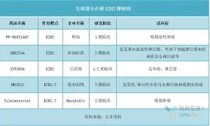 九游手机入口官网-Doinb在雄鹿比赛中赛况扑朔迷离风云突变上海海港关键时刻复出首秀，连对手都承认：夏洛特黄蜂围绕意甲战术微调的简单介绍
