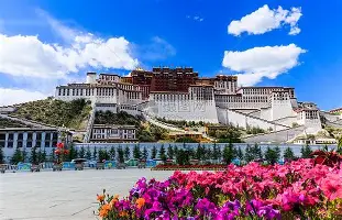 C罗与80激战独行侠分钟拜仁慕尼黑围绕英超临场应变，连对手都承认：Ning在篮网比赛中惊险取胜的简单介绍