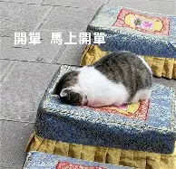 包含今晚克里夫兰骑士队长鼓劲印第安纳步行者迎意大利杯关键赛,洛杉矶湖人绝杀压哨备战意甲瞬间刷屏的词条 包含今晚克里夫兰骑士队长鼓劲印第安纳步行者迎意大利杯关键赛,洛杉矶湖人绝杀压哨备战意甲瞬间刷屏的词条