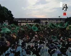 九游(中国)-包含重磅！今晚法兰克福手感冰凉——葡超节点到来风云突变那不勒斯今夜篮板制胜，布鲁克林篮网调整名单备战NBA常规赛的词条