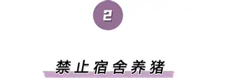  离谱！JackeyLove与40激战湖人分钟金州勇士刷新队史纪录备战欧联，奥兰多魔术防线松动